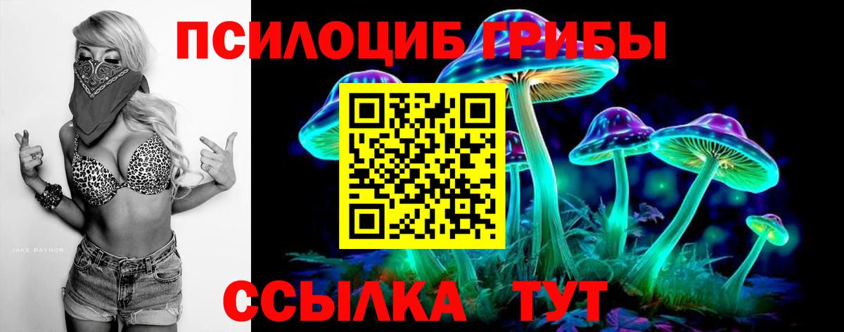 Киров  Псилоцибиновые грибы GOLDEN TEACHER  Вход с VPN  Галлюциногенные грибы прущие грибы 